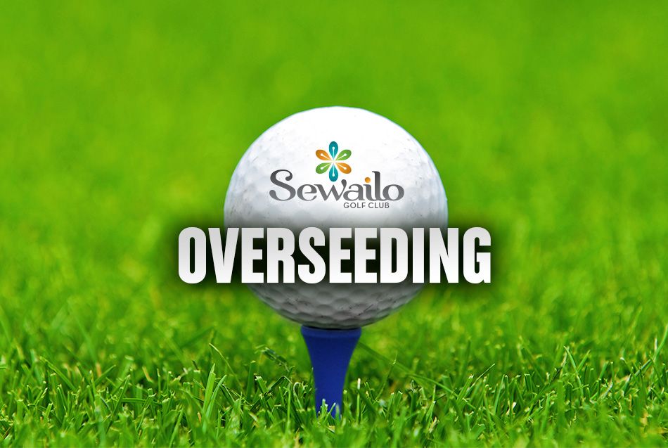 Sewailo Overseeding Casino Del Sol